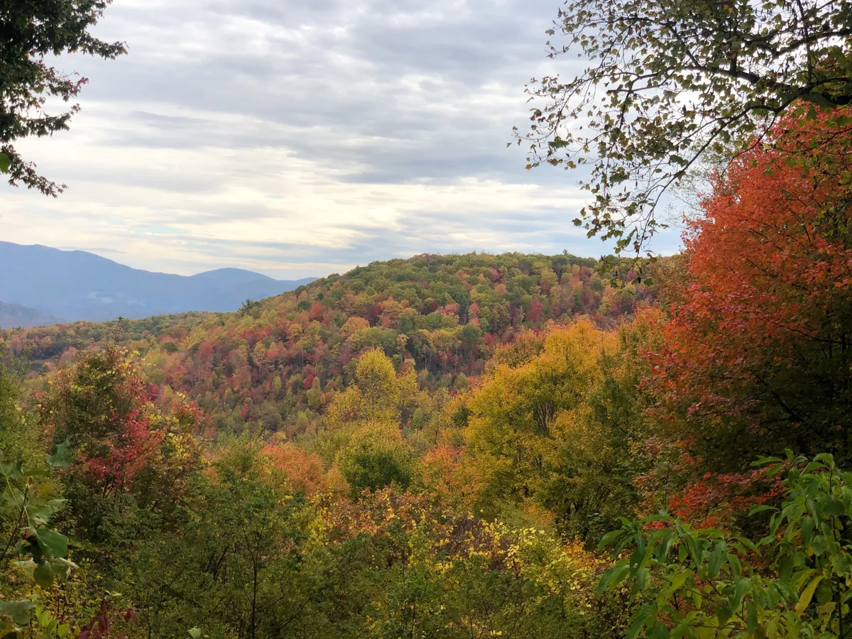 Rolling hills covered in vibrant fall foliage stretch toward the horizon, with layers of distant mountains adding dramatic depth. The scene is peaceful and inviting, embodying the changing seasons and providing a sense of exploration and immersion in local nature.